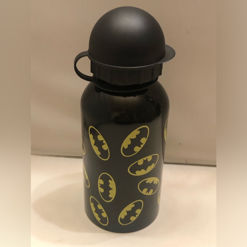 Batman TM & DC Comics 17 oz Stainless Steel Drink Bottle New